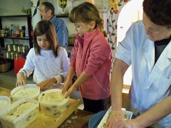 Fattoria Poggio Nebbia - foto 22989.jpg