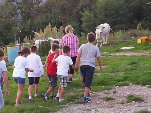 Agriturismo Le Vigne - foto 23026.jpg