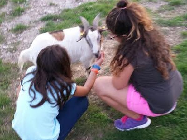 Agriturismo Le Vigne - foto 23045.jpg