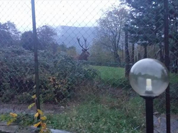 Agriturismo Le Vigne - foto 23046.jpg