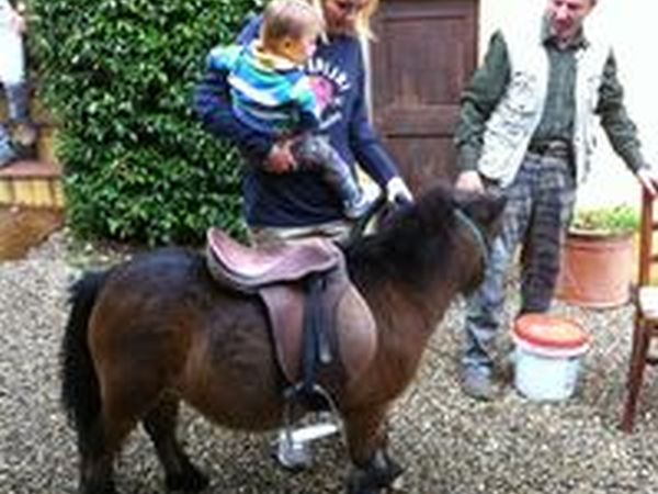 Agriturismo Podere Il Poggiolo - foto 23220.jpg