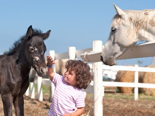 Barricata Holiday Village - foto 23581.jpg