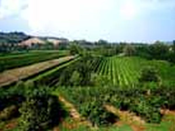 Agriturismo Rio Manzolo - foto 6327.jpg