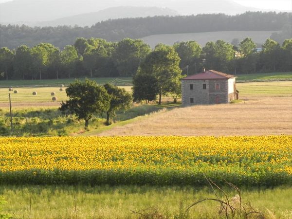 Fattoria di Marena - foto 24191.jpg