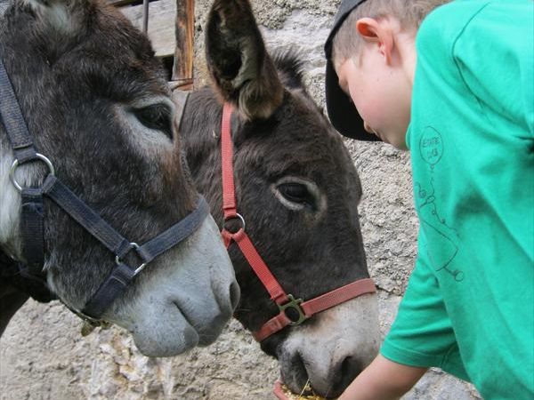 Agritur Dalaip Dei Pape - foto 24741.jpg