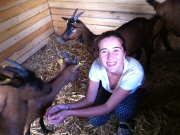 Il Fienile di Orazio - foto 24769.jpg