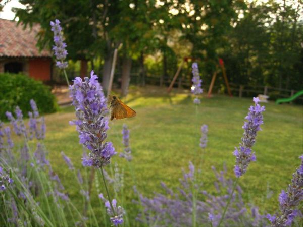 Agriturismo La Campana - foto 25097.jpg