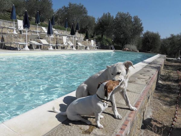 Agriturismo La Dogana - foto 25177.jpg