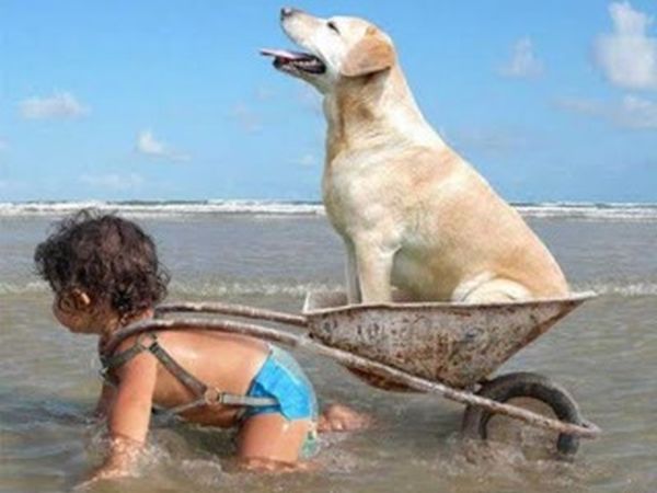 Villa Conca Marco - foto 25851.jpg