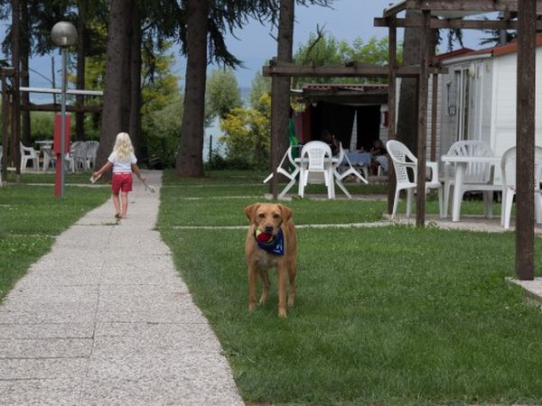 Villaggio San Benedetto - foto 26125.jpg