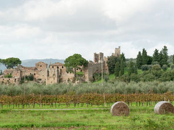 Vecchio Granaio - foto 26193.jpg