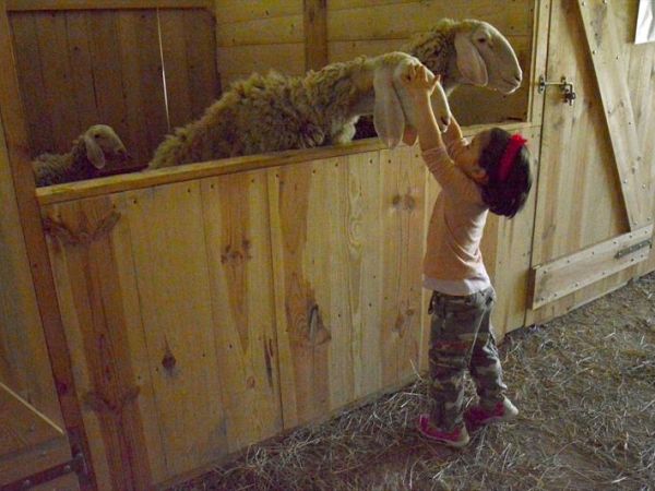 Agriturismo il Giardino - foto 26562.jpg