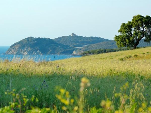 Poggio all�Agnello - foto 26693.jpg