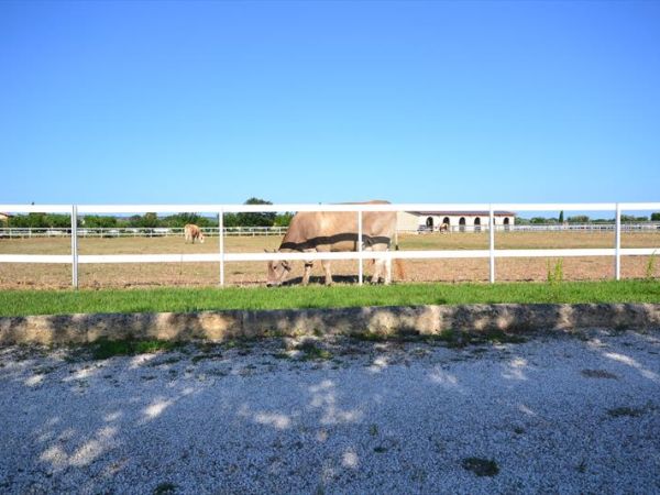 Tenuta La Baronessa Residence - foto 26841.jpg