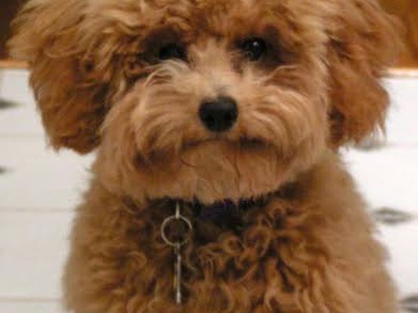 Villaggio Alemia - foto 26996.jpg