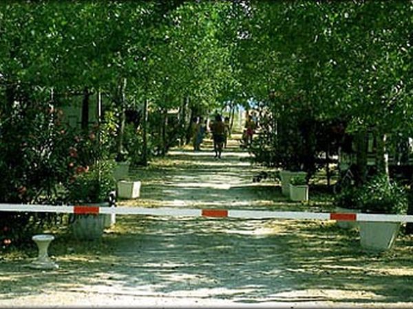 Camping Free-Beach  - foto 27139.jpg