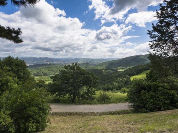 Agriturismo Monte Acuto - foto 27341.jpg