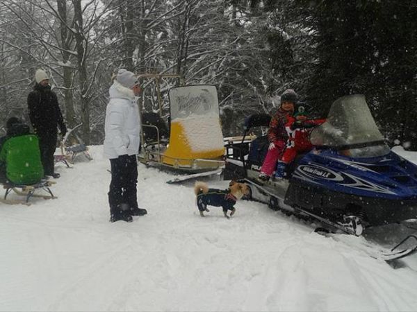 Maso Valfloriana - foto 27370.jpg