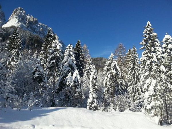 Maso Valfloriana - foto 27372.jpg