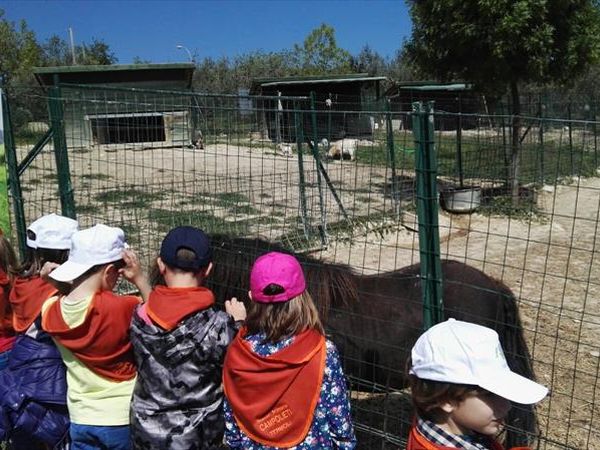 Agriturismo Angelucci - foto 27444.jpg