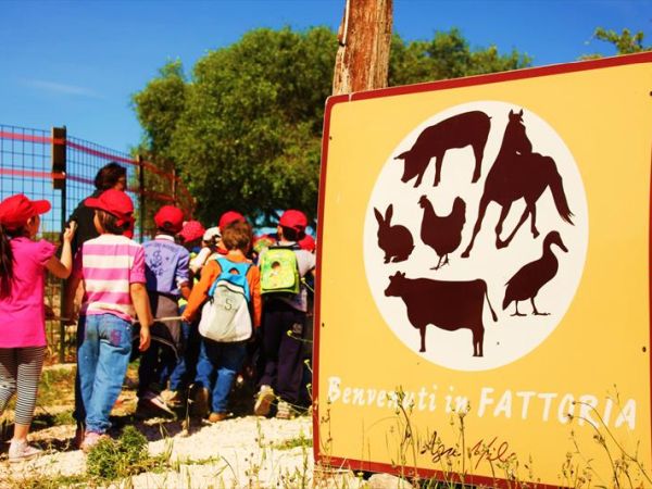 Agriturismo Agrimilo - foto 27472.jpg