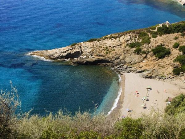 Tenuta Delle Ripalte - foto 27565.jpg