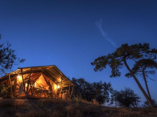 Tenuta Delle Ripalte - foto 27571.jpg