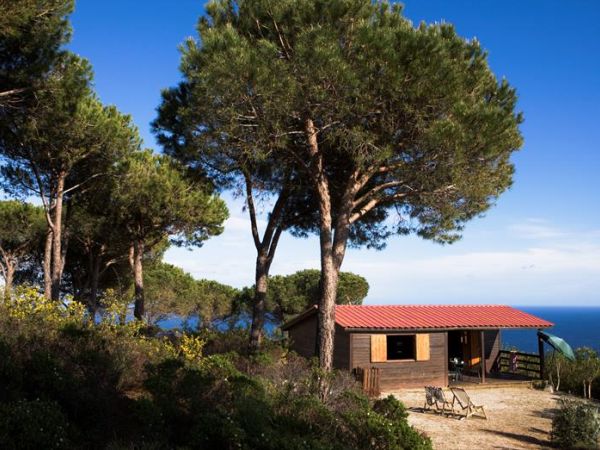 Tenuta Delle Ripalte - foto 27575.jpg