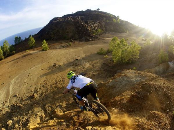 Tenuta Delle Ripalte - foto 27580.jpg