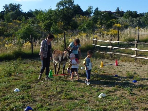 Il Canto dell�Asino - foto 27597.jpg