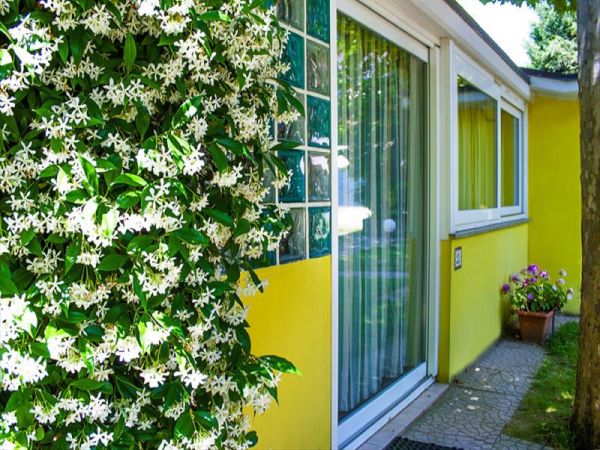 Villaggio Camping delle Rose - foto 27725.jpg