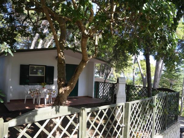 Camping Villaggio Internazionale - foto 27808.jpg