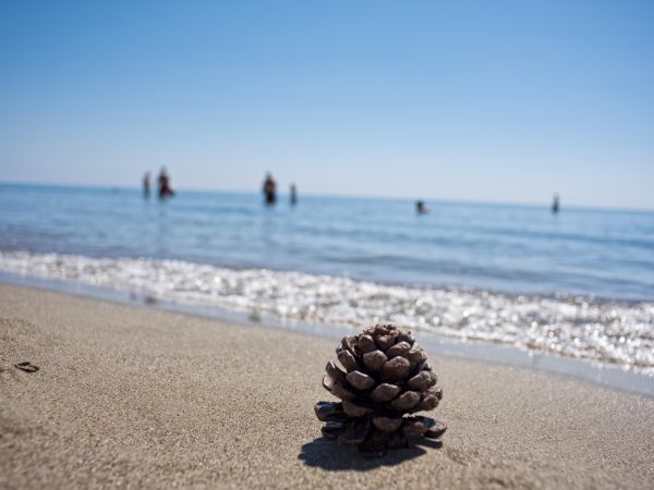 Masseria Macchia e Relais San Pio - foto 28162.jpg