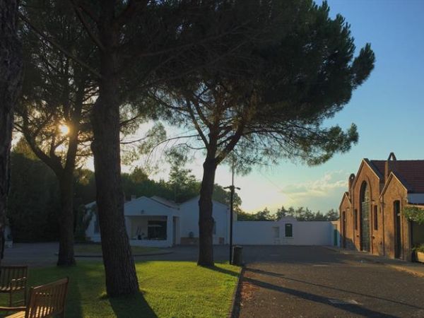 Masseria Macchia e Relais San Pio - foto 28169.jpg