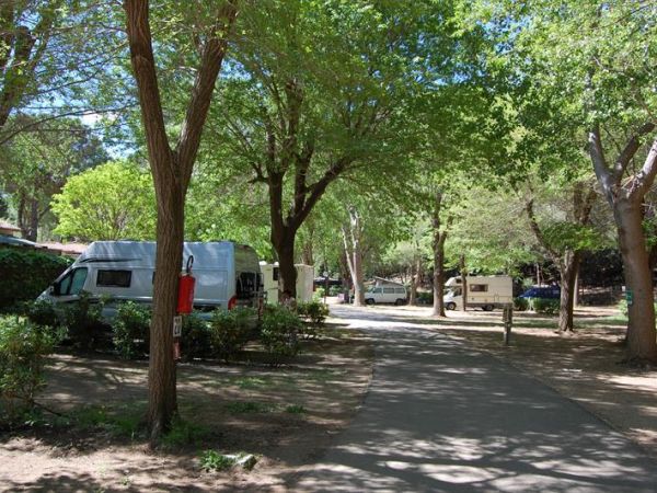 Camping Feniglia - foto 28364.jpg