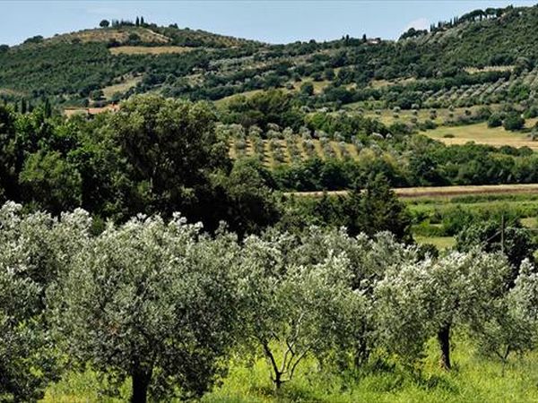 Relais I Piastroni - foto 28446.jpg