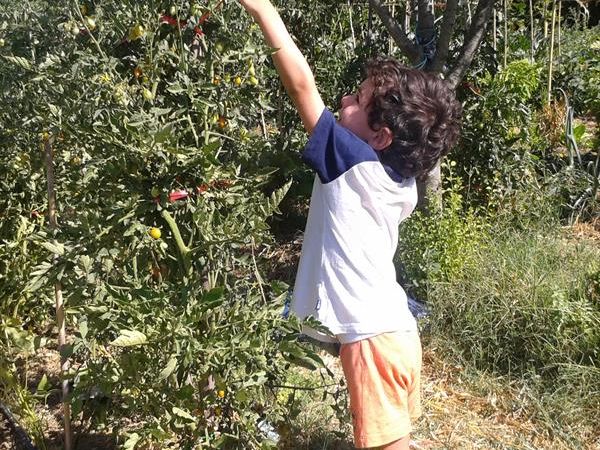 La Casa di Campagna - foto 28736.jpg