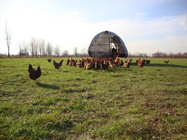 Agriturismo Cascina Santa Brera - foto 28941.jpg