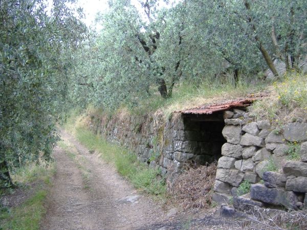 Podere Calistri - foto 28952.jpg