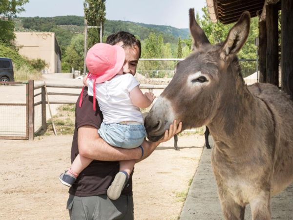 Fattoria Villa Palagina - foto 28961.jpg
