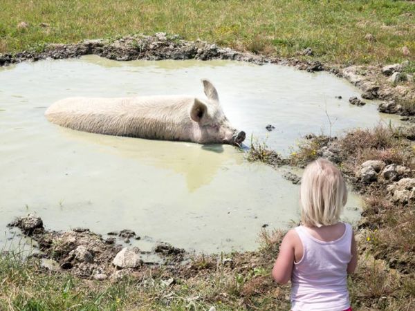 Fattoria Villa Palagina - foto 28962.jpg