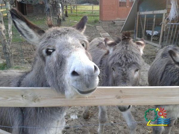 Garden Village San Marino - foto 29272.jpg