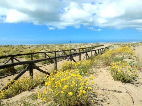 Camping Europa - foto 29706.jpg