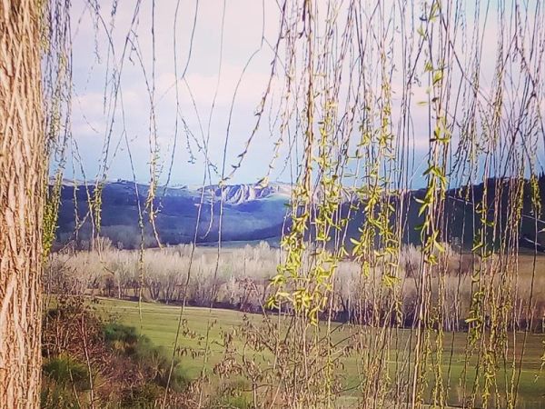 San Lorenzo Agriturismo - foto 29891.jpg