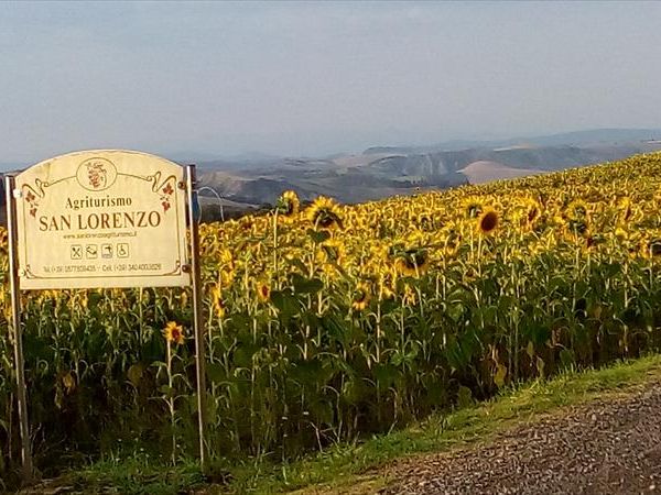 San Lorenzo Agriturismo - foto 29907.jpg