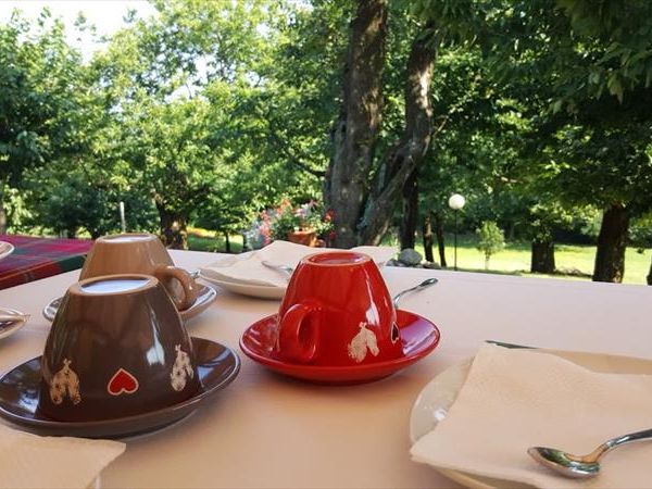 Country House Bucaneve - foto 30694.jpg