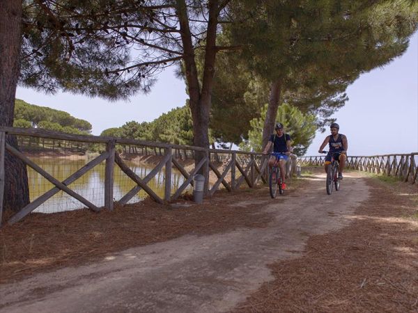 Popilia Resort - foto 31477.jpg