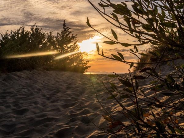 Cieloverde Camping Village - foto 31685.jpg