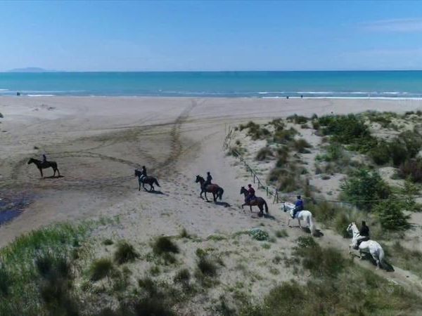 Hotel l�Approdo - foto 31796.jpg