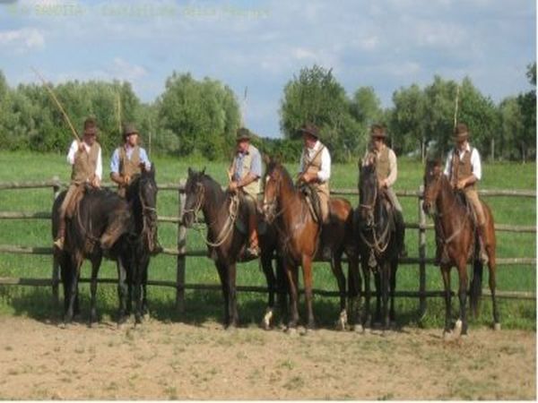 Hotel l�Approdo - foto 31799.jpg